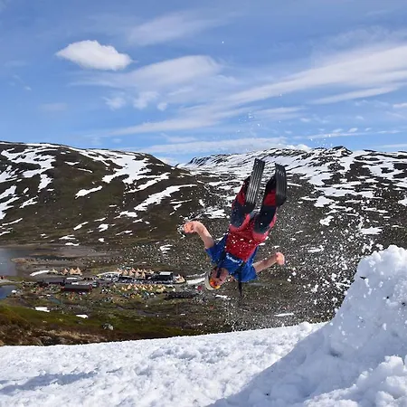 Eidsbugarden Vang I Valdres