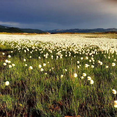 Eidsbugarden Vang I Valdres